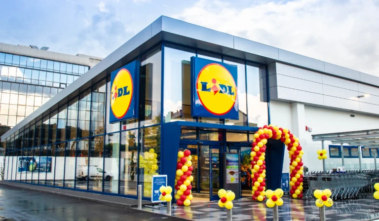 Offerte di lavoro per Rappresentante di Vendite: Lidl